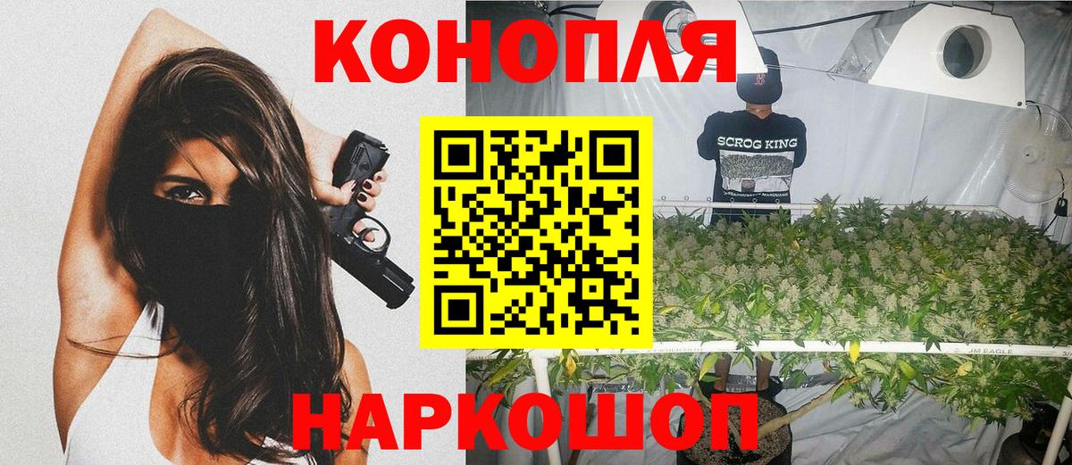 Канабис сатива Сергиев Посад